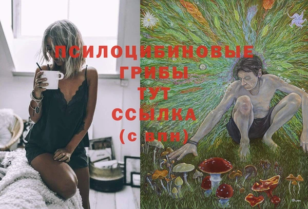 синтетический гашиш Дмитровск