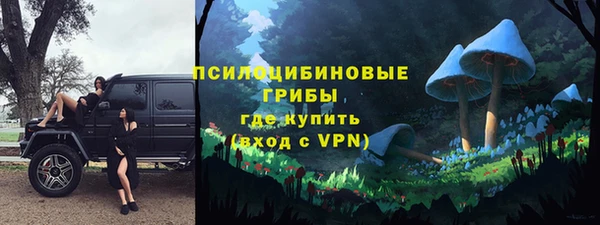 ешки Гусев