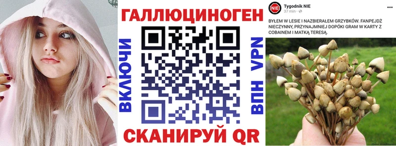 Галлюциногенные грибы MAGIC MUSHROOMS  магазин продажи наркотиков  Нальчик 
